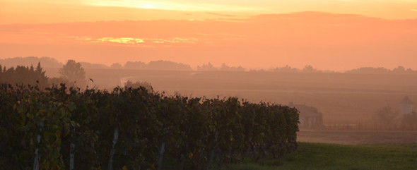 Vignoble Château Bonnet automne